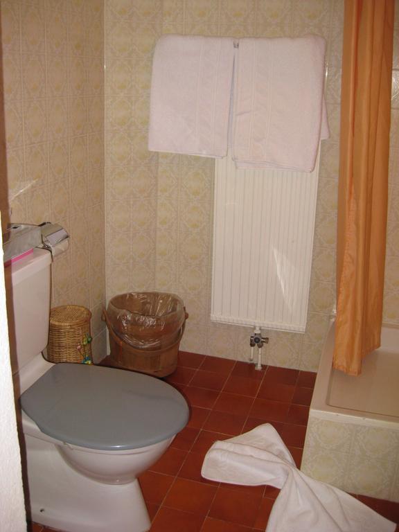 ホテル Garni Fluela Susch 部屋 写真
